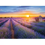 Nathan - Puzzle Zbirka Francoske regije - Pot sivke, Valensole - 500 kosov