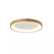 Azzardo AZ2698 - LED Stropna svetilka SILVAM 1xLED/50W/230V