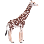 Figurica Mojo Wildlife – Muška žirafa