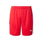 PUMA Športne hlače TeamLIGA26  rdeča / bela