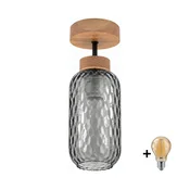 BRILAGI - LED pritrjeni lestenec R GLASS 1xE27/60W/230V premer 14 cm hrast/dimno siva