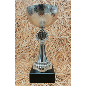 Pokal srebrni kelih