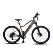 E MOTION Elektricni bicikl Swift Pro, 26“, Sivi