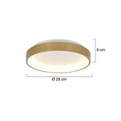 Steinhauer Stropna svetilka Ringlede LED, zlata, višina 6 cm, O 28 cm - Dnevna soba/jedilnica - Sodobni - zlato - Kovina
