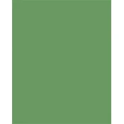 Obojena papirnata mapa, A3, 130 g, 50 listova, FOLIA, mahovina zelena 6353