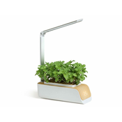 BOT Pametni sadilnik z belo LED diodo in svetlim lesom