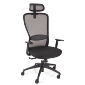 Ergoles ERGOLES Aeroflex BX pisarniški stol črne barve z vzglavnikom, (21063126)