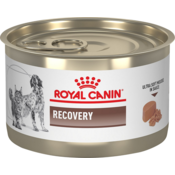 ROYAL CANIN Veterinarska dijeta za macke i pse Recovery 195g