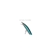 Vobler DTD Sardela 70 Natural pilchard - 70mm