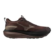 Ženska tekaška obutev Mizuno Wave Rider TT 4 Peppercorn/Simply Taupe/Black