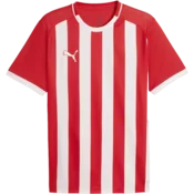 Puma Dres teamLIGA26 Striped