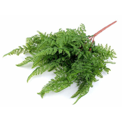 Umetna praproti - zelena praproti