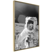 Poster - Space Fun 40x60