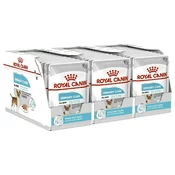 Royal Canin Urinary Care Dog Loaf 36 x 85 g