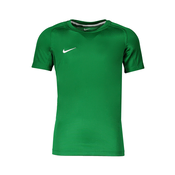 NIKE Funkcionalna majica zelena/bela