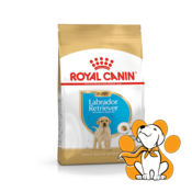 Royal Canin BHN Labrador Retriever Puppy, 12kg, Granule Na Bazi Živinskog Mesa
