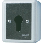 Jung Jung ključno stikalo 16AX 250V 2-polno 806.28 G, (20859344)
