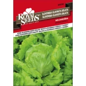 SEME ROYAL SEEDS 81 Solata Belokriška