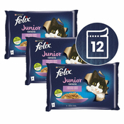 Vrečke FELIX Junior Fantastic, okusen izbor hran v želatini 12x85 g