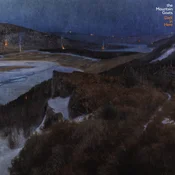 The Mountain Goats - Dark In Here (2 LP)