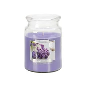 eoshop Sveča v kozarcu Dišeča SIVKA 500g