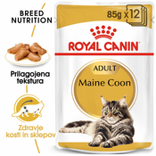 ROYAL CANIN Maine Coon v omaki 12x85 g