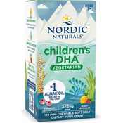 Nordic Naturals Childrens DHA Vegetarian