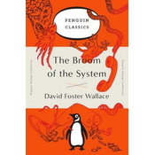 Broom of the System