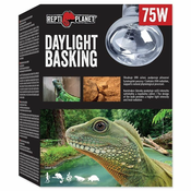 REPTI PLANET žarnica Daylight Basking Spot, 75 W