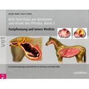 Bild-Text-Atlas zur Anatomie und Klinik des Pferdes. Bd.2