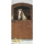 KOMAR Foto tapet 2-1202, 97x220cm