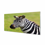 tulup.si Slika na akrilnem steklu Prehod za pešce 120x60 cm 4 obešalnika