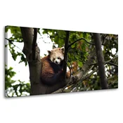 shumee Platno s tiskom Živali Rdeča panda 80x40 cm