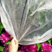 Springos Agrotekstil 1,6x50m AG0002