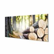 tulup.si Slika na akrilnem steklu Les gozd narava 125x50 cm 4 obešalnika
