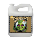 Advanced Nutrients Big Bud COCO 5 L