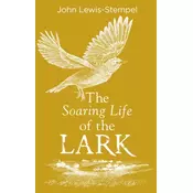 The Soaring Life of the Lark
