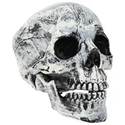 Vidaxl Lobanja za noč čarovnic SPOOKA 2 kos Bela 12 x 15 x 17.5 cm