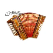 Diatonična harmonika 4/III 8HB ,oreh korenina, A mano