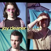Joy Cleaner - Youre So Jaded (LP)