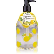 Accentra Essential Botanicals Hand Soap tekoče milo za roke z dozirno črpalko 300 ml