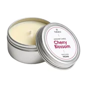 Yokaba Cherry Blossom Massage Candle 50 ml