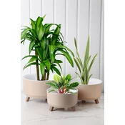 Aberto Design set vaza TRPTSX-3-3, 3 dijela, krem