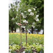 Windhager A!ipka 180cm plastiÄ?na ( WH 05747 )