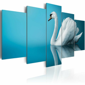 Slika - A swan in blue 100x50