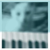 Peter Broderick - Piano Works Vol.1 (2 LP)