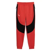 PUMA Türkiye Basketball Team Knitted Pants, Sport, Red, L