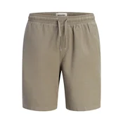 Jack & Jones Plus Hlače JPSTJAIDEN barva blata