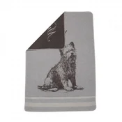 Odeja Pet 70 x 90cm, westie - siva