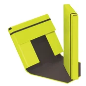 PAGNA Škatla za zvezke PAGNA, Trend Colors, DIN A4, limeta zelena, (22135691)
